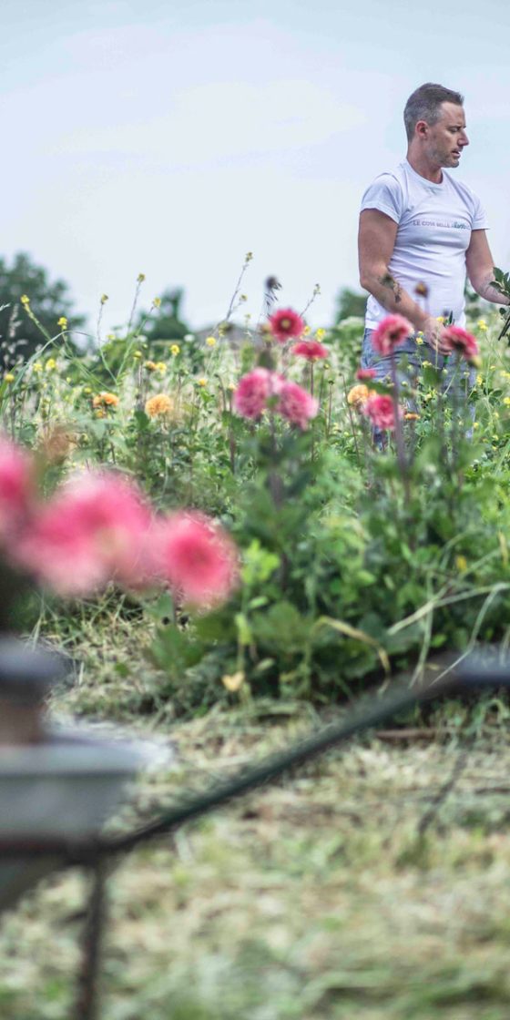 Daniele di Kadò raccoglie nel campo i fiori della flower farm