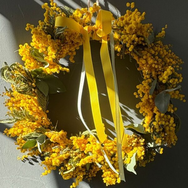 MIMOSA GHIRLANDA Cuadrato