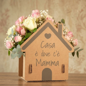 Box Casa