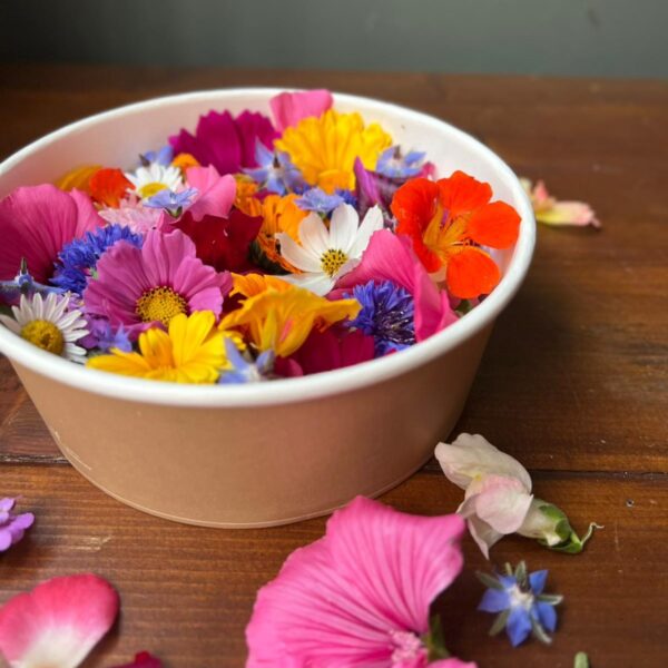fiori_eduli4 fiori_eduli4